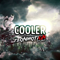 Cooler