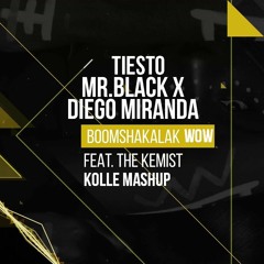 Tiesto ft. Diego Miranda, Mr.Black, the Kemist - Boomshakalak WOW ( Kolle Mashup )