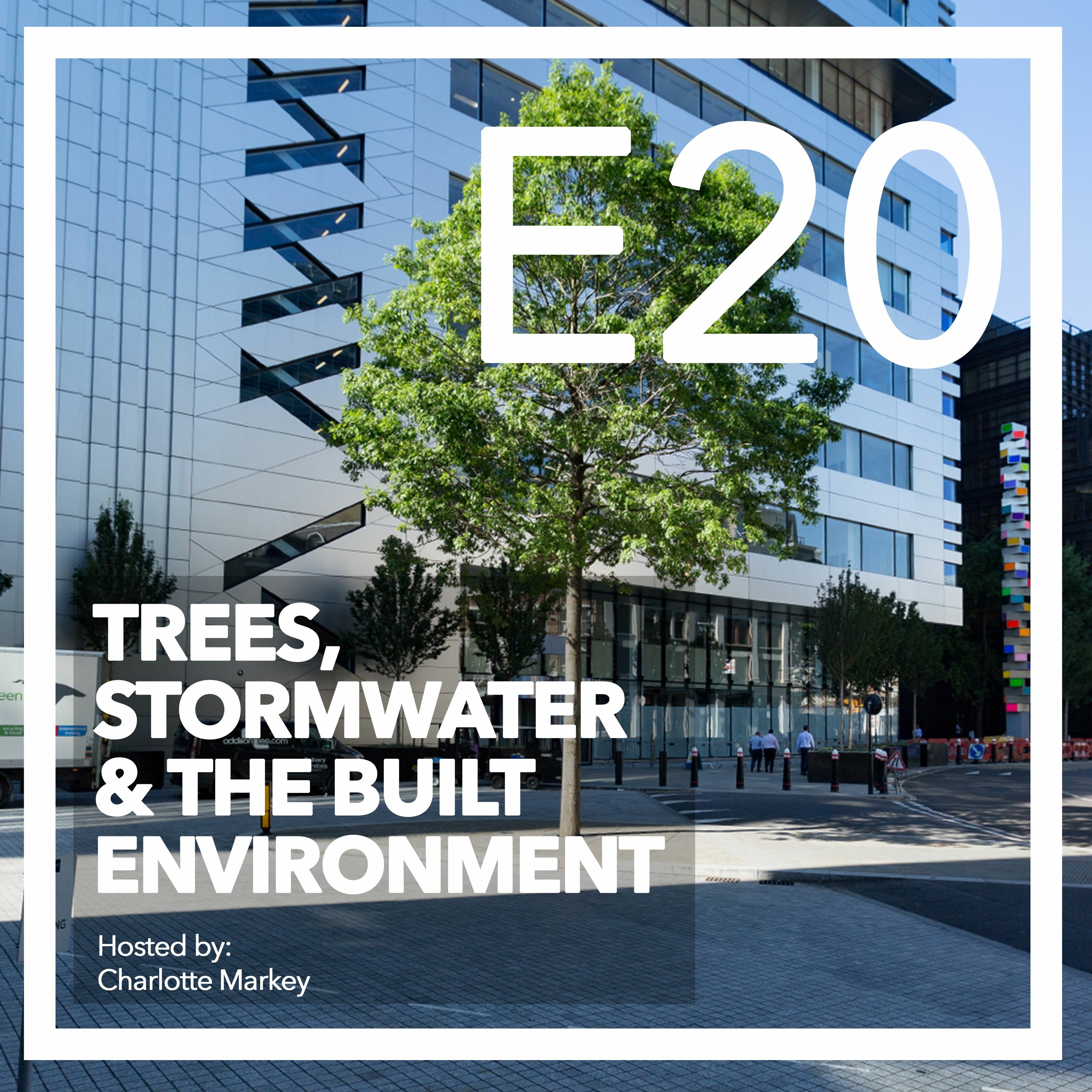Trees-Stormwater
