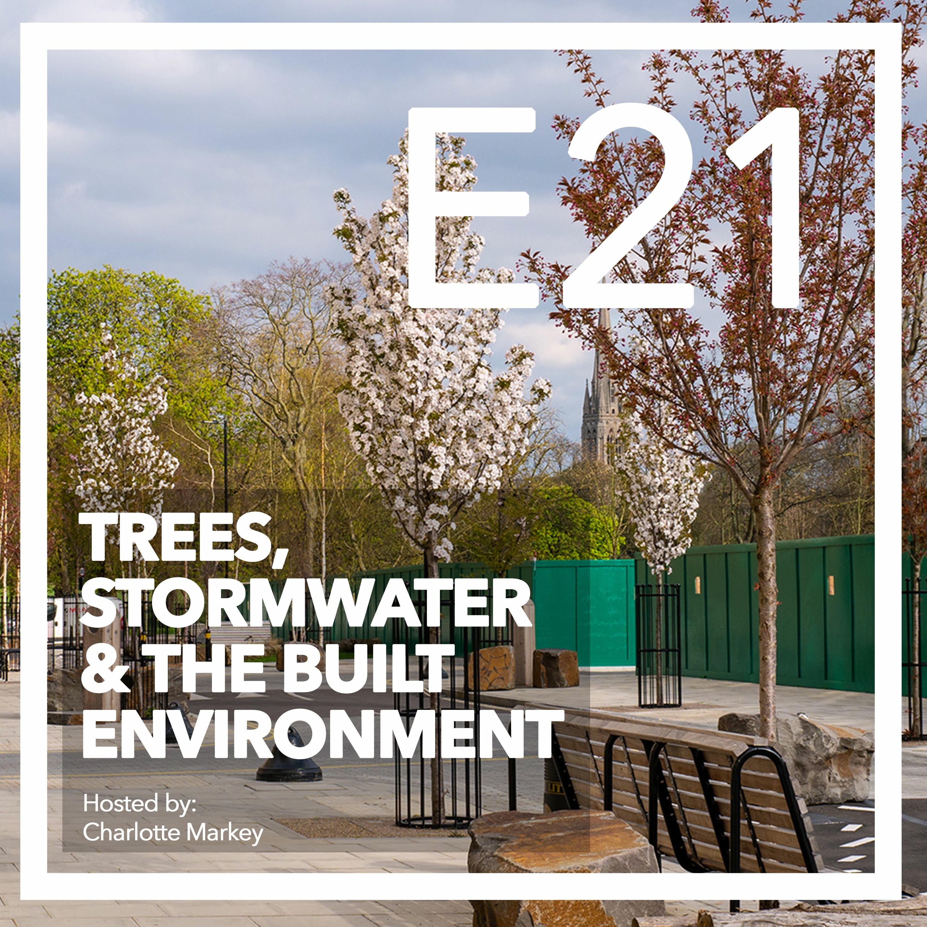 Trees-Stormwater