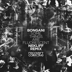 PREMIERE: Bongani - Some Things Are Fluorescent (NekliFF Remix) [Recovery Collective]