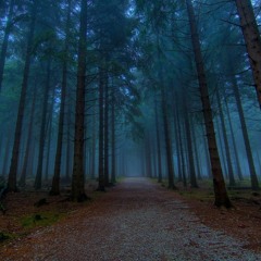 Get lost in the Forest