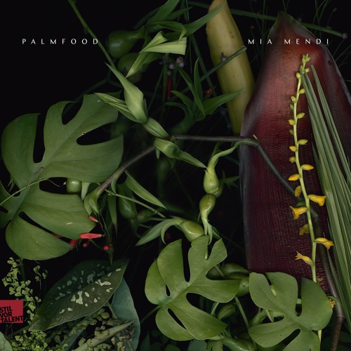 PALMFooD - Jungle Adventure [Snippet]