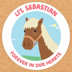 Lil Sebastian Mix