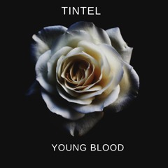 Young Blood Feat. 5 Seconds Of Summer Remix
