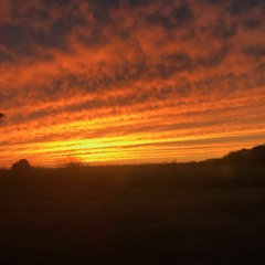 By The End Of The Night (one take)