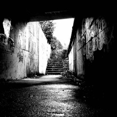 Darmar - Večernja špica