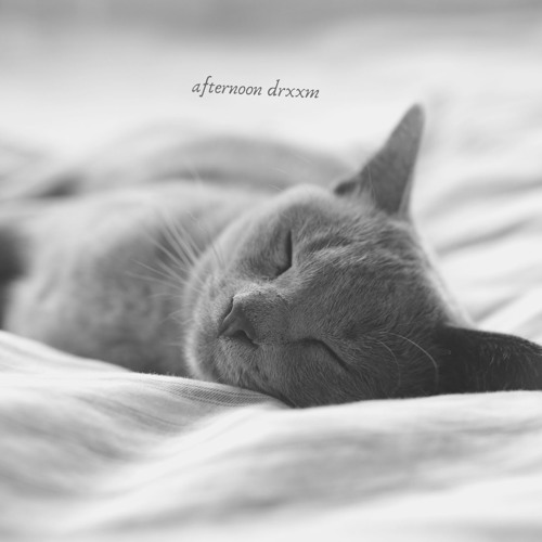 afternoon drxxm