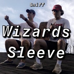 Wizards Sleeve