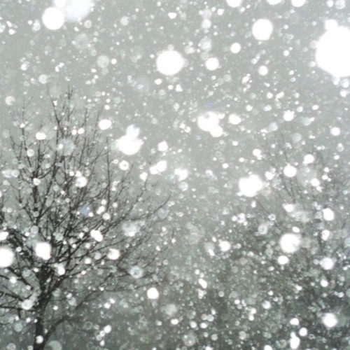 Anonymous - ICE cold (prod:sav)