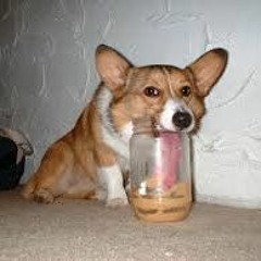 PEANUT BUTTER JELLY TIME