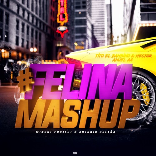 Anuel AA Ft. Hector Y Tito El Bambino - Felina (Minost Project & Antonio Colaña 2019 Mashup)