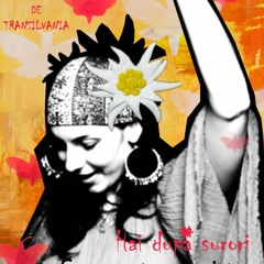 Hai după surori(Come get your sisters)-Nickodemus sunset Remix