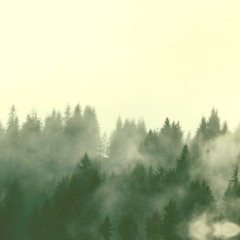 Ambience