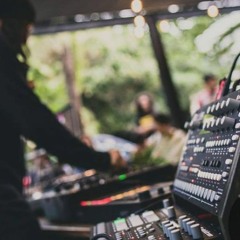 Fly D(Live at Playa del carmen)