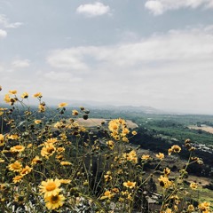 Scorpio Rising (Soccer Mommy Cover)