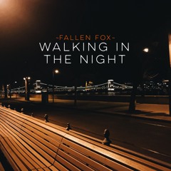 Walking in the Night