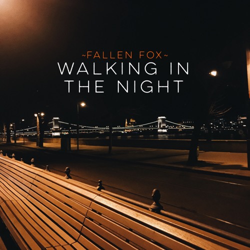 Walking in the Night
