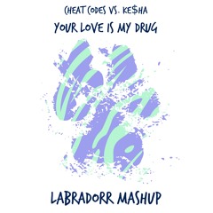 Cheat Codes vs. Ke$ha - Your Love Is My Drug (Labradorr Mashup)