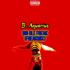 Megan Thee Stallion - Big Ole Freak (Freakmix) FREE DOWNLOAD