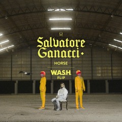 Salvatore Ganacci - "Horse" (W.A.S.H. Flip)