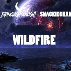 WILDFIRE  (DrinkingMoonlight x SnackieChan x DAZA x Ezekial)