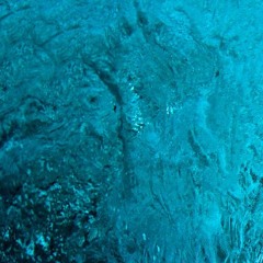 OG Muchee ~ Vegan Wraps [prod. OG Muchee]