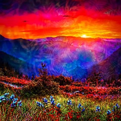 Perfection (Prod. GRAZ x MXWN)