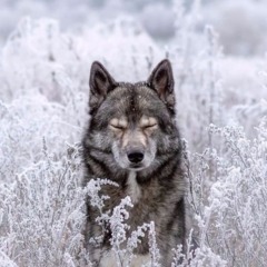 Live @ BRICKLETOWN (Truckee)