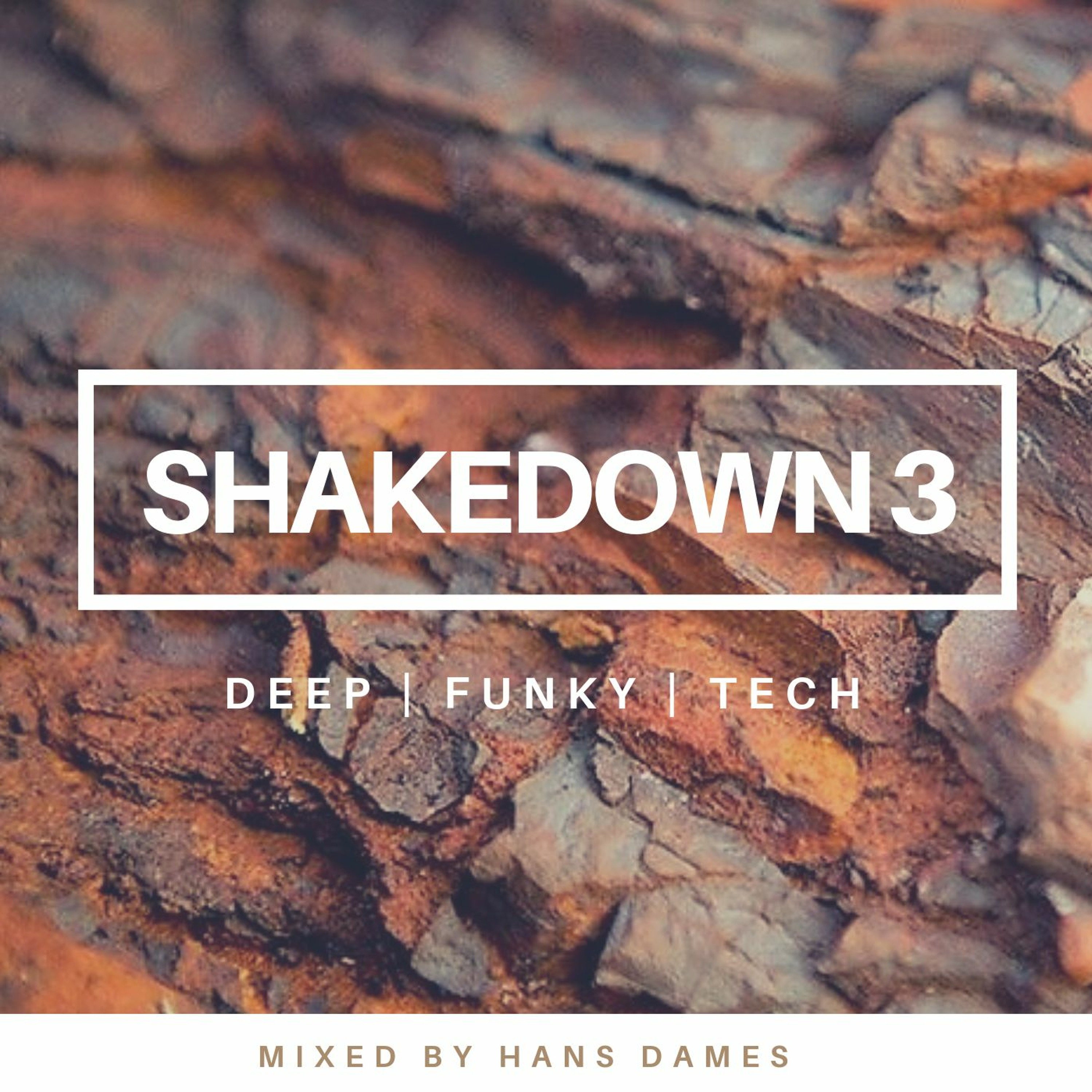SHAKEDOWN 2019 #3 - mixed by Hans Dames episode artwork