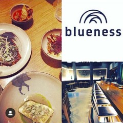 Bart Ricardo @ Blueness Cadzand  Lounge Downtempo Deep House March 29 2019