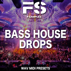 10 Bass House Drops (Free Download)
