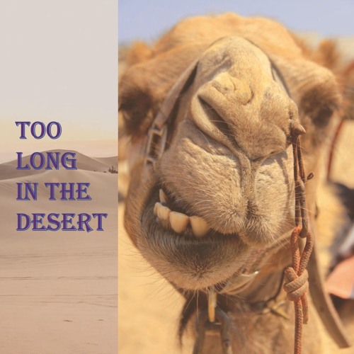 Too Long In The Desert - Open collaboration offer