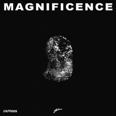 Axtone Approved: Magnificence