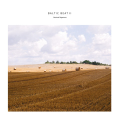 Bartosz Kruczyński - Petals (STW Premiere)