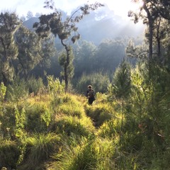 Rinjani