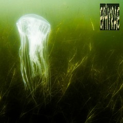 SLERK X BAGGMANE - EPHYRAE EP