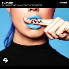 Tujamo - Say What You Wanna (Ali Bakgor Remix) [OUT NOW]