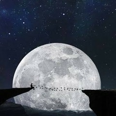 هيثم سعيـد _ بعترفلكـ ❤