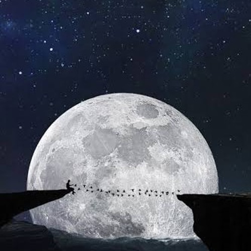 هيثم سعيـد _ بعترفلكـ ❤