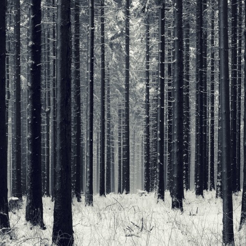 Wippe mit dem Beat (Alfred Heinrichs x Sirch & William Kiss Bootleg)