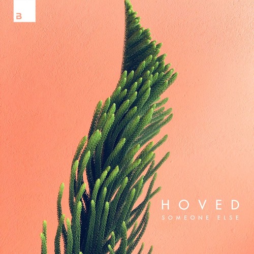 Hoved - Someone Else [Big & Dirty Records]