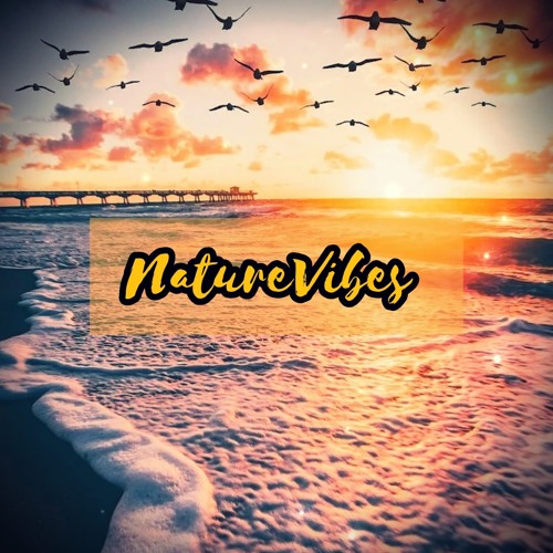 NatureVibes - Deep Café vol.34