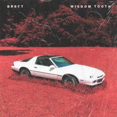 Brett - Wisdom Tooth