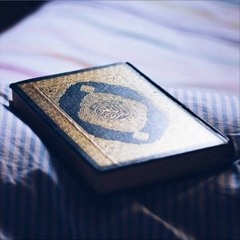 وَنَادَىٰ نُوحٌ ابْنَهُ - القارئ أحمد رأفت