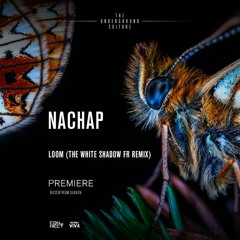 PREMIERE: Nachap - Loom (THe WHite SHadow FR Remix) [Natura Viva]