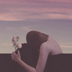 L.NDN - sun