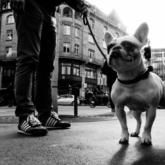 I Wanna be your DOG (cover stooges)