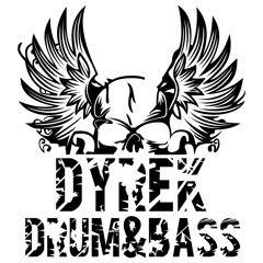 Dyr3k - Cyber Shaolins