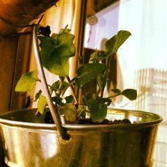 Es reajustar todo, todo el tiempo